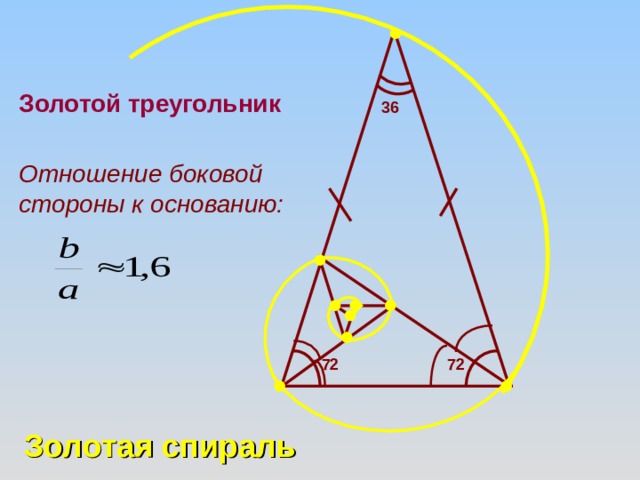 Золотой треугольник 36 Отношение боковой стороны к основанию: 72 72 Золотая спираль 