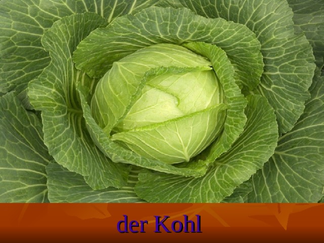 der Kohl