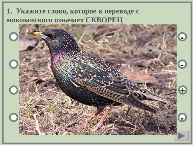 1. Укажите слово, которое в переводе с мокшанского означает СКВОРЕЦ 1) варси - 2) сязьгата - 3) пъсьмар + 4) сараз -  