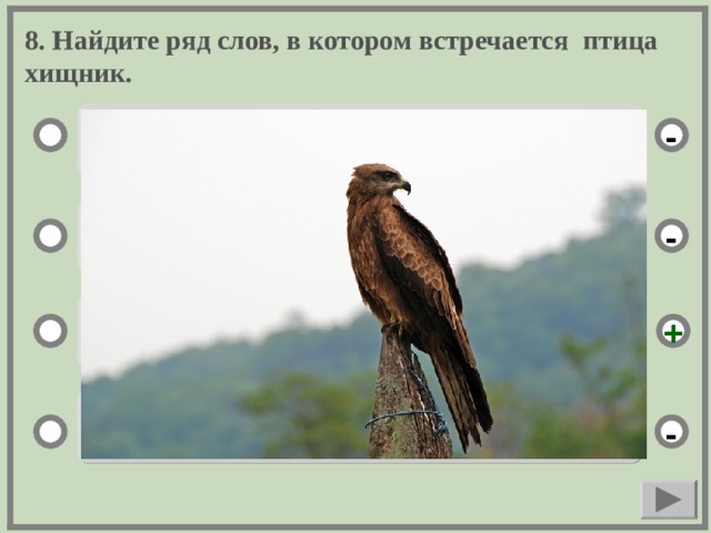 8. Найдите ряд слов, в котором встречается птица хищник. ёр - варси - кавал + пъсьмар -  