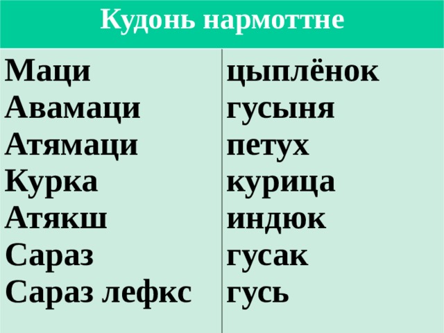 Кудонь нармоттне Маци Авамаци Атямаци Курка Атякш Сараз Сараз лефкс цыплёнок гусыня петух курица индюк гусак гусь  