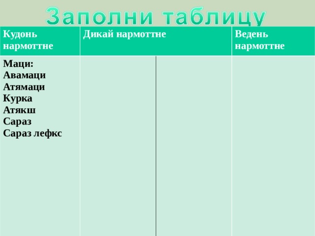 Кудонь нармоттне Дикай нармоттне Маци: Авамаци Атямаци Курка Атякш Сараз Сараз лефкс Ведень нармоттне 