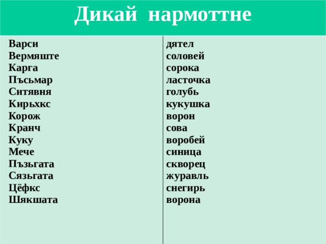 Дикай нармоттне  Варси  Вермяште  Карга  Пъсьмар  Ситявня  Кирьхкс  Корож  Кранч  Куку  Мече  Пъзьгата  Сязьгата  Цёфкс  Шякшата дятел соловей сорока ласточка голубь кукушка ворон сова воробей синица скворец журавль снегирь ворона 