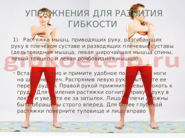 Упражнения для развития гибкости  1) Растяжка мышц, приводящих руку, разгибающих руку в плечевом суставе и разводящих плечевые суставы (дельтовидная мышца, левая широчайшая мышца спины, левый трицепс и левая ромбовидная мышца) Встаньте прямо и примите удобное положение, ноги на ширине плеч. Распрямив левую руку, вытяните ее перед грудью. Правой рукой прижмите левый локоть к груди. Для усиления растяжки согните правую руку в локте и уведите ее за затылок. Лицо и плечи должны быть обращены строго вперед. Для более глубокой растяжки поверните туловище и лицо вправо 