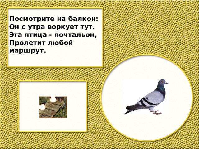 Посмотрите на балкон: Он с утра воркует тут. Эта птица - почтальон, Пролетит любой маршрут. 