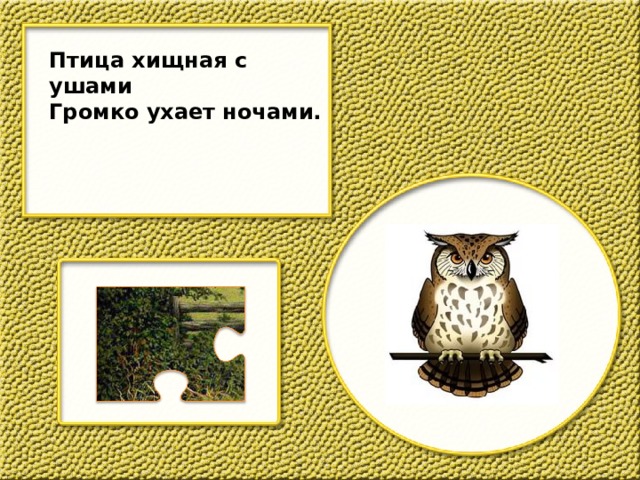 Птица хищная с ушами Громко ухает ночами. 