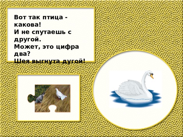 Вот так птица - какова! И не спутаешь с другой. Может, это цифра два? Шея выгнута дугой! 