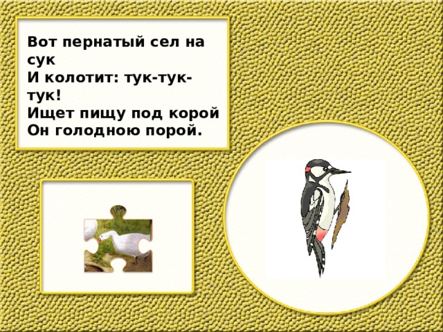 Вот пернатый сел на сук И колотит: тук-тук-тук! Ищет пищу под корой Он голодною порой. 