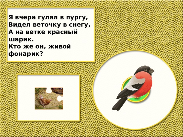Я вчера гулял в пургу, Видел веточку в снегу, А на ветке красный шарик. Кто же он, живой фонарик? 