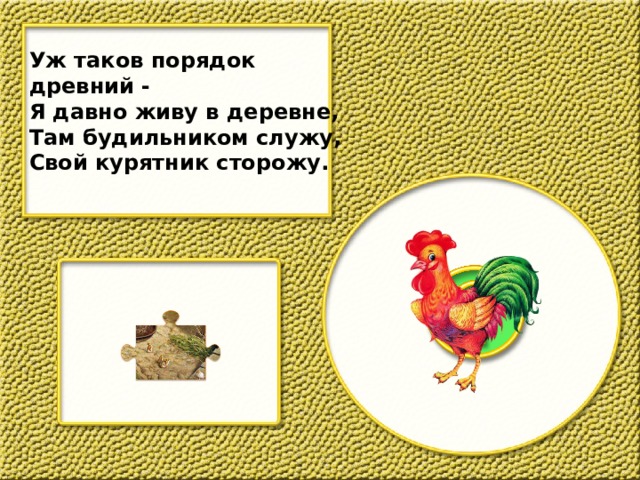 Уж таков порядок древний - Я давно живу в деревне, Там будильником служу, Свой курятник сторожу. 
