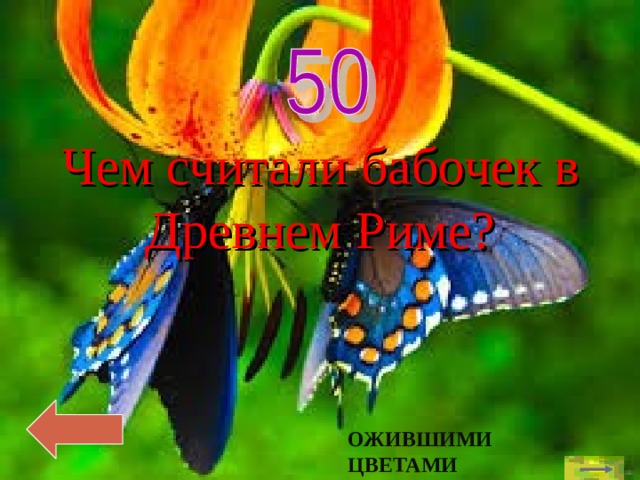 Чем считали бабочек в Древнем Риме? ОЖИВШИМИ ЦВЕТАМИ 