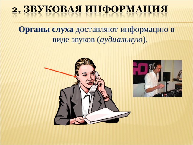 Органы слуха доставляют информацию в виде звуков ( аудиальную ). 