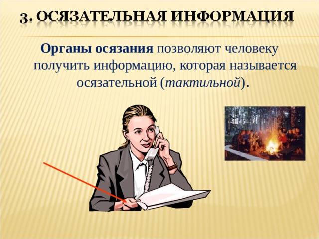 Органы осязания позволяют человеку получить информацию, которая называется осязательной ( тактильной ) . 