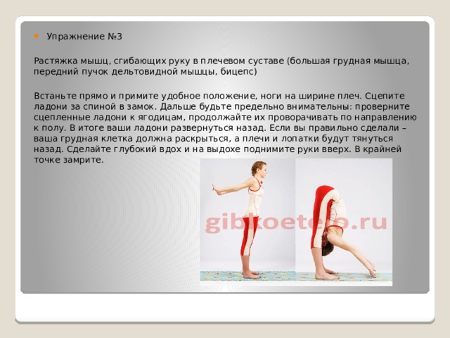 Упражнение №3 Растяжка мышц, сгибающих руку в плечевом суставе (большая грудная мышца, передний пучок дельтовидной мышцы, бицепс) Встаньте прямо и примите удобное положение, ноги на ширине плеч. Сцепите ладони за спиной в замок. Дальше будьте предельно внимательны: проверните сцепленные ладони к ягодицам, продолжайте их проворачивать по направлению к полу. В итоге ваши ладони развернуться назад. Если вы правильно сделали – ваша грудная клетка должна раскрыться, а плечи и лопатки будут тянуться назад. Сделайте глубокий вдох и на выдохе поднимите руки вверх. В крайней точке замрите. 