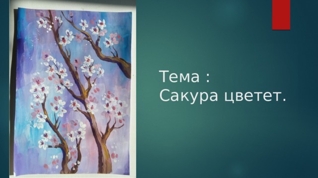 Тема :  Сакура цветет. 