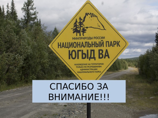 СПАСИБО ЗА ВНИМАНИЕ!!! 