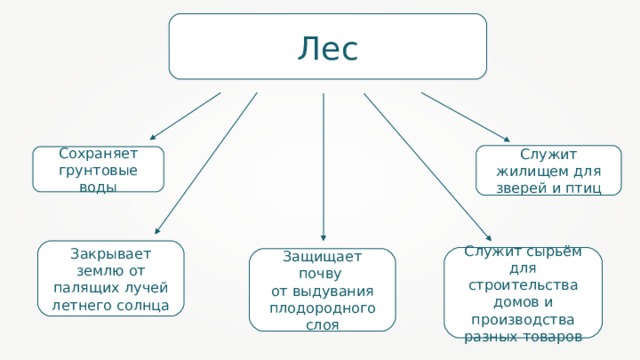 Лес Служит жилищем для зверей и птиц Сохраняет грунтовые воды Закрывает землю от палящих лучей летнего солнца Служит сырьём для строительства домов и производства разных товаров Защищает почву от выдувания плодородного слоя 