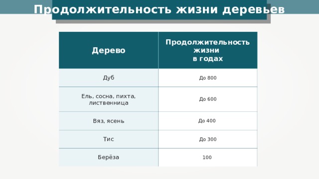 Продолжительность жизни деревьев Дерево Дуб Продолжительность жизни в годах Ель, сосна, пихта, лиственница До 800 До 600 Вяз, ясень Тис До 400 До 300 Берёза 100 