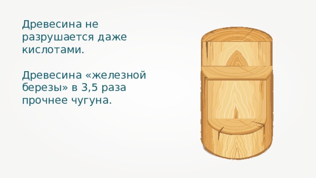 Древесина не разрушается даже кислотами. Древесина «железной березы» в 3,5 раза прочнее чугуна. 