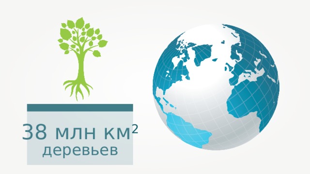 38 млн км 2 деревьев 