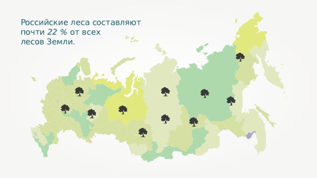Российские леса составляют почти  22 %  от всех лесов Земли. 