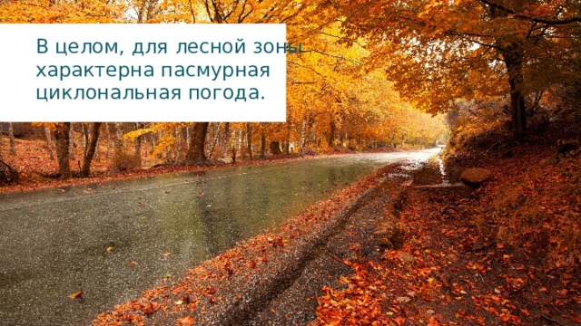 В целом, для лесной зоны характерна пасмурная циклональная погода. 
