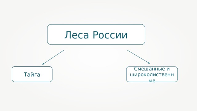 Леса России Тайга Смешанные  и широколиственные 