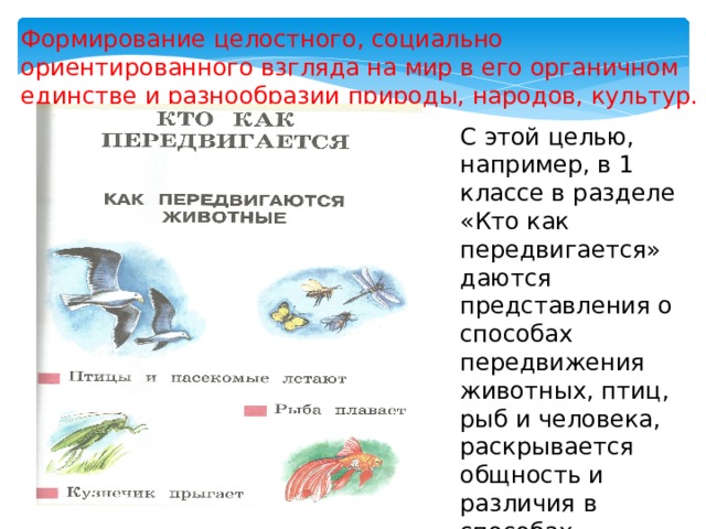 Формирование целостного, социально ориентированного взгляда на мир в его органичном единстве и разнообразии природы, народов, культур. С этой целью, например, в 1 классе в разделе «Кто как передвигается» даются представления о способах передвижения животных, птиц, рыб и человека, раскрывается общность и различия в способах передвижения. 