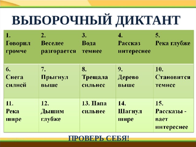 ВЫБОРОЧНЫЙ ДИКТАНТ ПРОВЕРЬ СЕБЯ! 