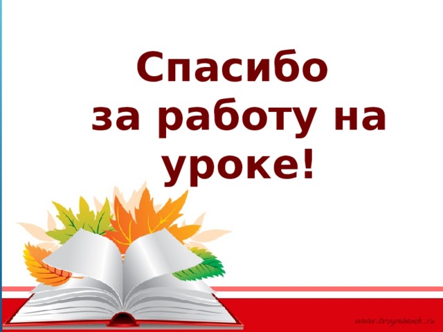 Спасибо за работу на уроке! 