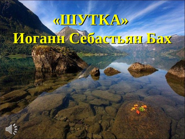 «ШУТКА» Иоганн Себастьян Бах 