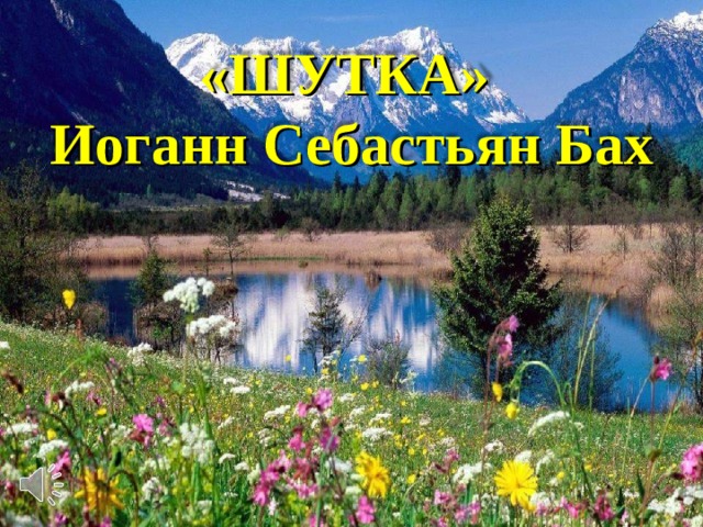 «ШУТКА» Иоганн Себастьян Бах 