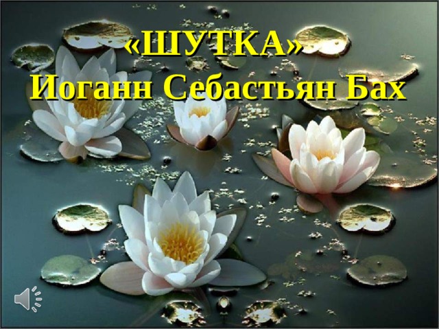 «ШУТКА» Иоганн Себастьян Бах 