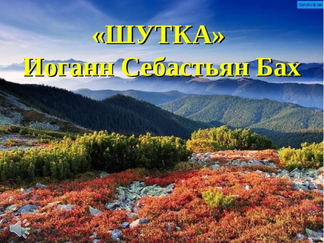 «ШУТКА» Иоганн Себастьян Бах 