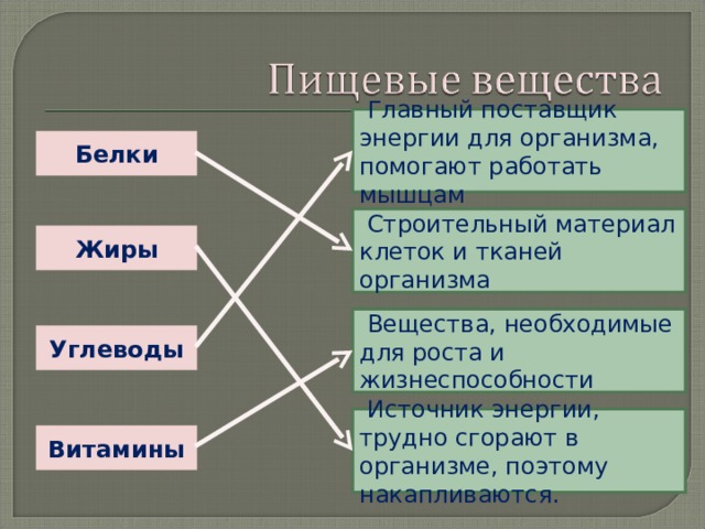  Главный поставщик энергии для организма, помогают работать мышцам Белки  Строительный материал клеток и тканей организма Жиры  Вещества, необходимые для роста и жизнеспособности Углеводы  Источник энергии, трудно сгорают в организме, поэтому накапливаются. Витамины 
