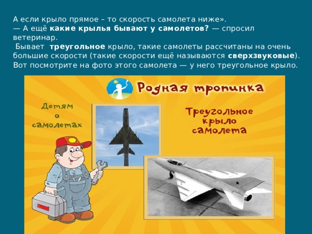 А если крыло прямое – то скорость самолета ниже».  — А ещё  какие крылья бывают у самолетов?  — спросил ветеринар.   Бывает   треугольное  крыло, такие самолеты рассчитаны на очень большие скорости (такие скорости ещё называются  сверхзвуковые ). Вот посмотрите на фото этого самолета — у него треугольное крыло. 