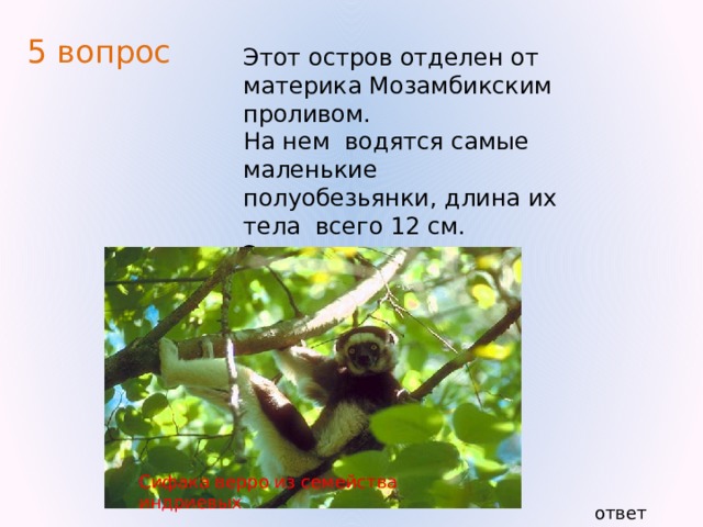 Молния , гром, дождь 