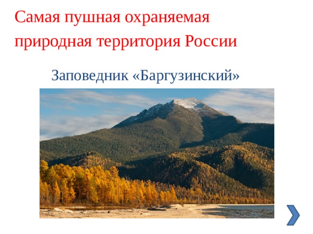 Самая пушная охраняемая природная территория России Заповедник «Баргузинский» 