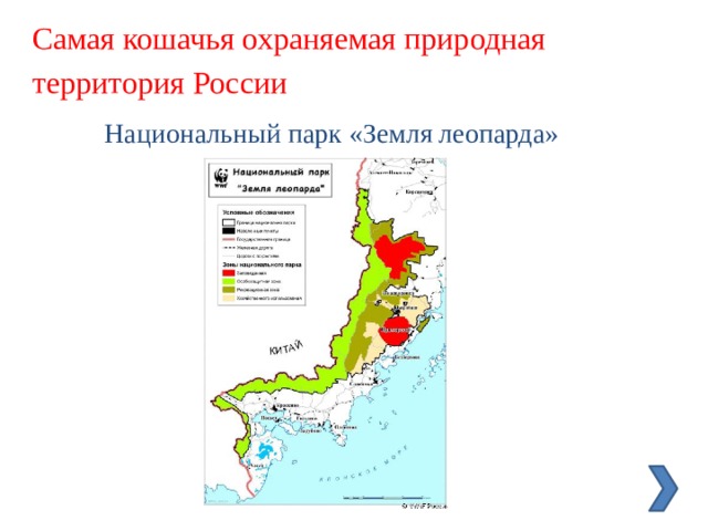 Самая кошачья охраняемая природная территория России Национальный парк «Земля леопарда» 