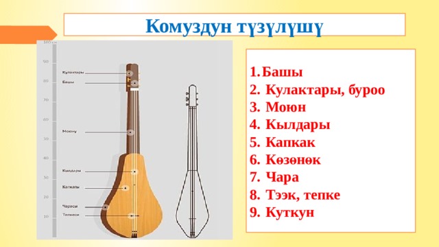 Комуздун түзүлүшү Башы  Кулактары, буроо  Моюн  Кылдары  Капкак  Көзөнөк  Чара  Тээк, тепке  Куткун 