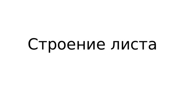 Строение листа 