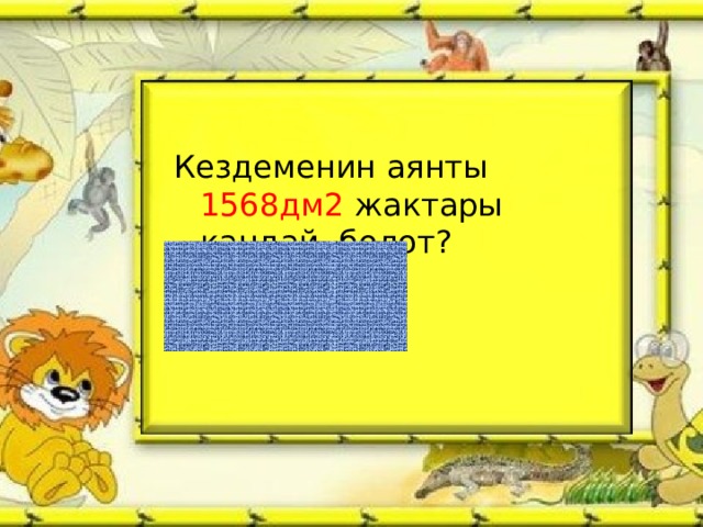 Кездеменин аянты 1568дм2 жактары кандай болот?  