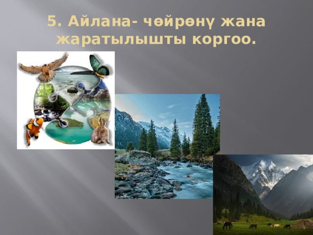5. Айлана- чөйрөнү жана жаратылышты коргоо. 