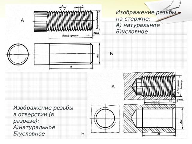 Изображение резьбы на стержне: А) натуральное Б)условное А Б А Изображение резьбы в отверстии (в разрезе): А)натуральное Б)условное Б 