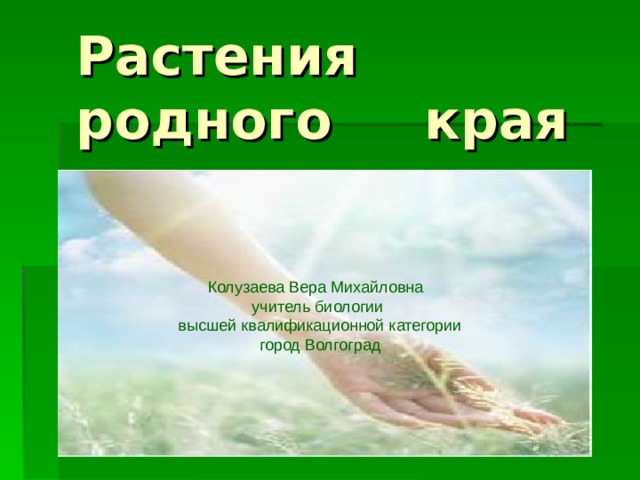 Растения родного края Колузаева Вера Михайловна учитель биологии высшей квалификационной категории город Волгоград 