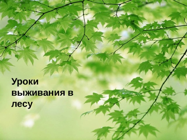 Уроки выживания в лесу 