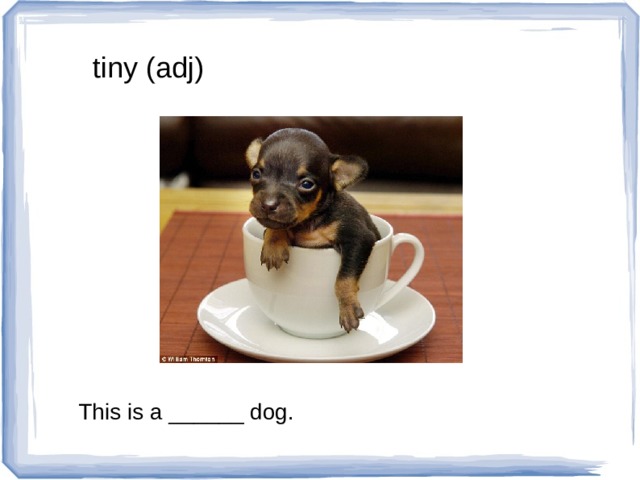 tiny (adj) This is a ______ dog. 