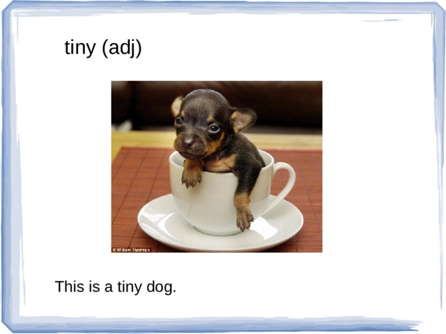tiny (adj) This is a tiny dog. 
