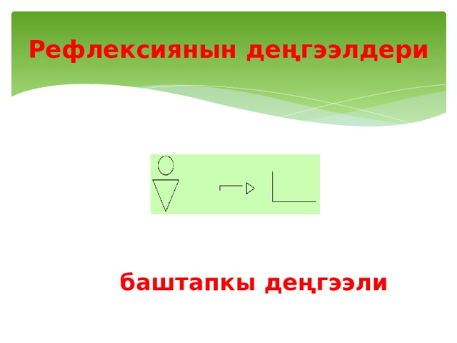 Рефлексиянын деңгээлдери баштапкы деңгээли 