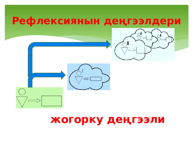Рефлексиянын деңгээлдери жогорку деңгээли 